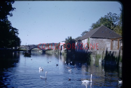 35mm slide 1950 - 35mm, bridge
