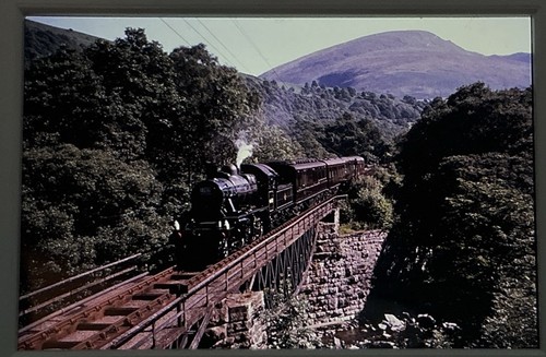 35mm colour rail - colour,